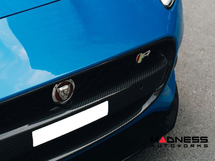 Jaguar F-TYPE Exterior Trim - Carbon Fiber - Radiator Grille Center Cover